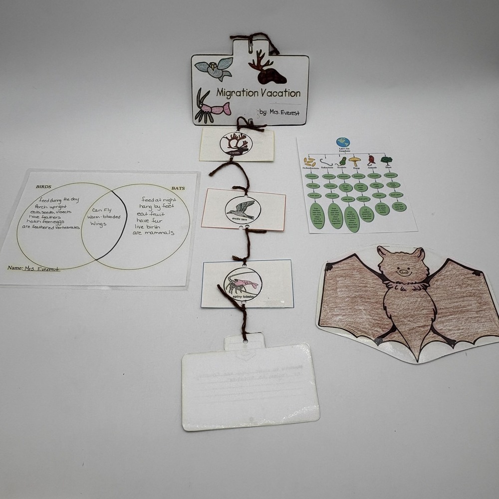 Vintage Migration Vacation Bats Birds Classroom‎ Teaching Aids Laminated Lot